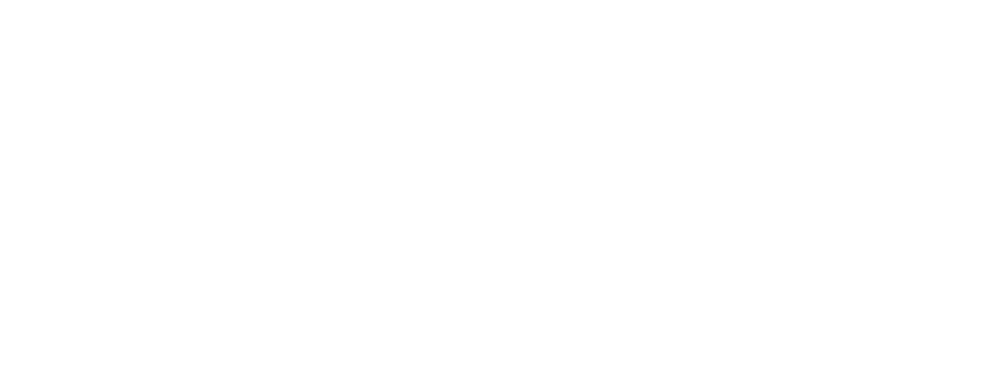 Synex Finance logo